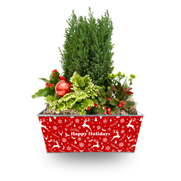 Indoor Tropical Planter
